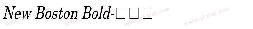 New Boston Bold字体转换